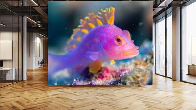  A tight shot of a pink-yellow fish near corals, surrounded by more corals in the background Wall mural