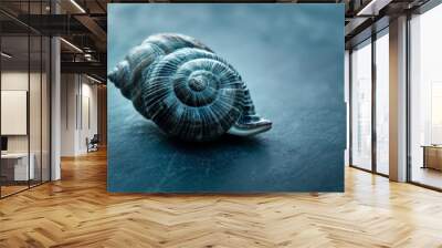  A tight shot of a seashell against a backdrop of blue and gray, with the shell subtly blurred in the image Wall mural