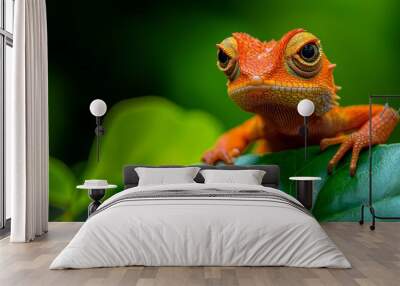  A tight shot of a small orange lizard perched on a verdant leaf, surrounded by a soft, blurred background Wall mural