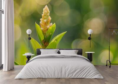  A tight shot of a tiny green plant with a bug perched on its stem against a soft blur Wall mural