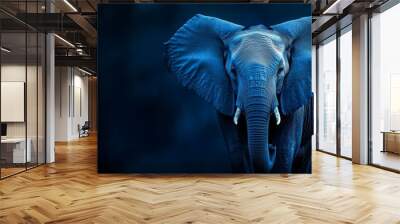  A tight shot of an elephant's face, illuminated by a blue light, revealing intricate wrinkles Tusks gleam brightly against the soft glow Wall mural