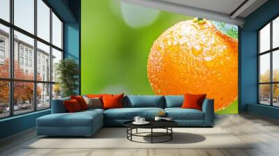  A tight shot of an orange with a leaf on its branch, adorned with water droplets atop the fruit Wall mural