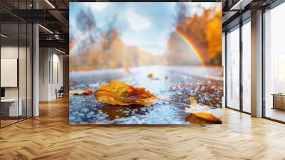  A wet road bears a solitary leaf In the backdrop, a rainbow arches over trees Wall mural