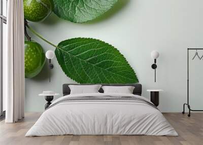  A white background with a bunch of green berries and their leaves A light green accent behind the berries Wall mural