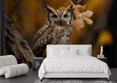  An owl perched on a tree branch, a leaf atop its head, eyes brightly open Wall mural