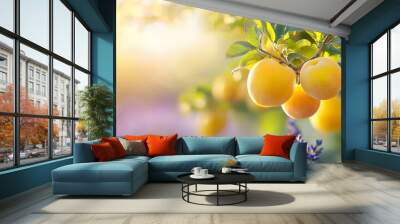  Oranges dangle from a tree, surrounded by lavender blooms in the foreground Sunlight filters through the foliage Wall mural