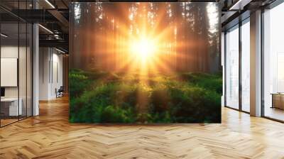  The sun brightly shines through the dense forest of tall trees and green grass, with rays penetrating the canopy in the background Wall mural