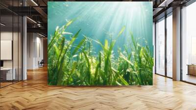  The sun shines brightly through the water's reeds on a sunny day The water is blue and green, reflecting the sun's rays Wall mural