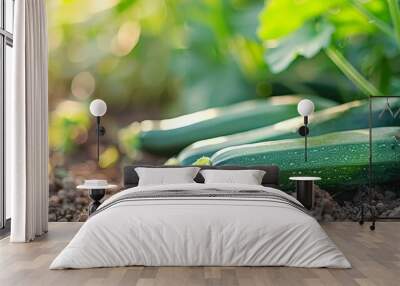  Two cucumbers atop a patch of dirt near a leafy green plant Wall mural