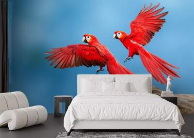  Two red parrots perch atop a rock, wings spread against a blue sky Wall mural