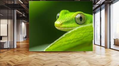 a near green leaf, and a distant green leaf Wall mural