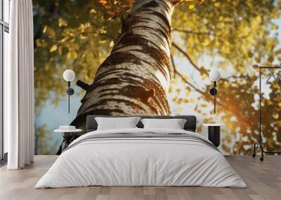 Beautiful birch trunk with bright sunlight. AI generated. Wall mural