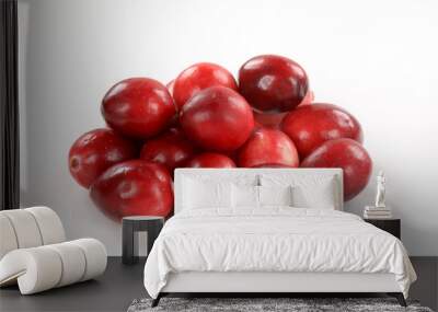 Cranberries Wall mural