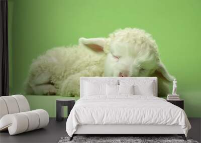 Cute sheep lying on floor sleeping with closed eyes on a green background. Created with Generative Ai technology. Wall mural