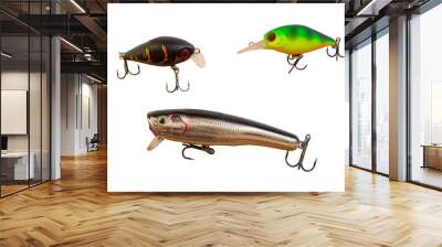 Fishing lures for predatory fish.  Lures on a white background. Wall mural