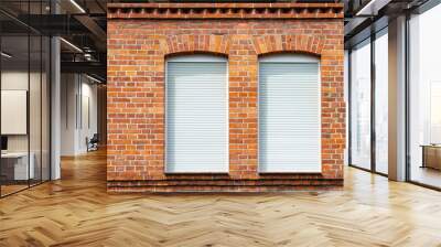 Fragment of a brick wall of a building with two windows. Wall mural