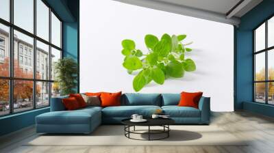 fresh oregano sprigs Wall mural