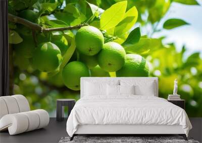 Green lime citrus hanging on a tree. Created using generative AI technology. Wall mural