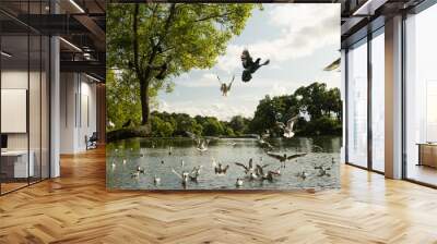 Gulls against the blue sky. The Black-headed Gull is one of the most widespread species of gulls in the world, with over 2 million pairs. Summer. Sunny day. Wall mural