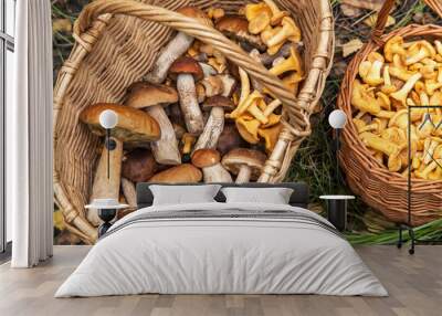 Edible wild mushroom porcini and chanterelle in two basket in fall autumn forest. Natural, forest, meadow, mushrooms picking Wall mural