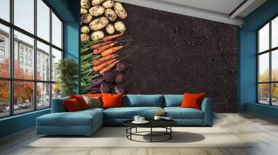 Soil ground texture with organic bio vegetables background, autumn harvest, copyspace. Bunch of carrot, beetroot and potato in garden, top view with copy space Wall mural