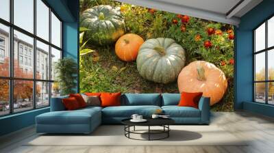 Vegetables on garden bed. Pumpkin organic harvest in garden with flowers. Orange and green colorful different fresh pumpkins close up Wall mural