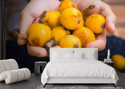 Woman hands holds  mushmula or loquat fruit. Breakfast and desserts. Evergreen subtropical tree orange sweet and juicy fruit widely spread in Georgia, Japan, Korea, Spain and other asian countries. Wall mural