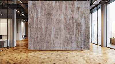 Shabby gray metal surface background. Wall mural