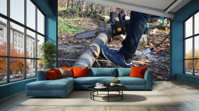 Men were sawing wood using an electric green saw. Wall mural