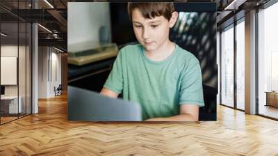 Boy using laptop Wall mural