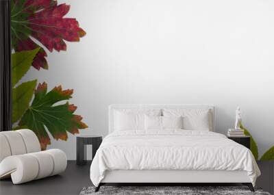 Multicolored leaves on a white background close-up, in the form of an autumn template Wall mural