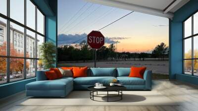 Stop sign Wall mural