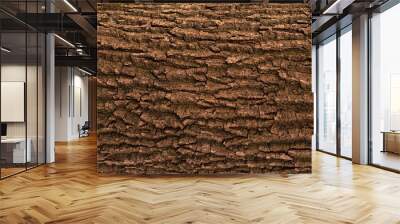 Embossed texture of the bark of oak. Panoramic photo of the oak texture. Wall mural