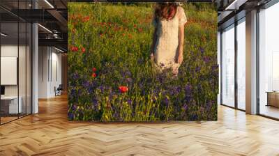 Girl with a wreath of flowers. Face of beautiful ukrainian girl in a wreath of summer flowers on nature. Girl on the field with poppies. Fantasy art photography. Wall mural