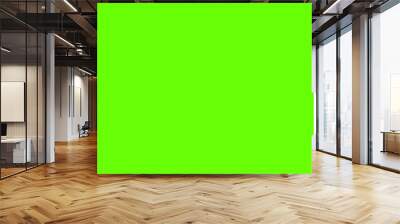 Green screen marker for chroma key and motion track. VFX background for greenscreen phone setup. Flat vector illustration isolated Wall mural