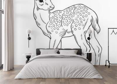 Hand drawn vector of fawn isolated on white background. Black and white stock illustration of young deer for coloring. Wall mural