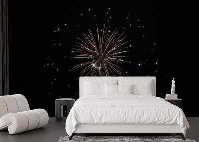 Holiday, Bright fireworks colorful explosion in night sky. Glowing fireworks show. New year's eve fireworks celebration. Multicolored fireworks in night sky. Beautiful colored night explosions in sky. Wall mural