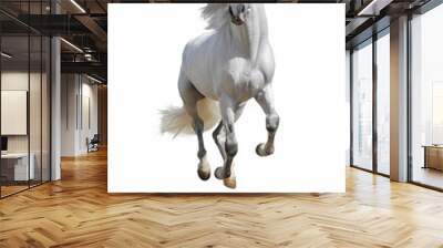 white horse isolated Wall mural