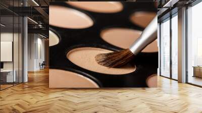 close-up of eyeshadow palette with brush Wall mural