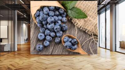 Blueberry Wall mural