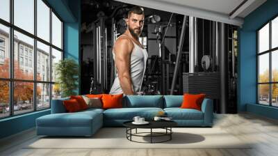 Bodybuilding. Bearded man standing doingcable straight arm pulldown at gym looking camera confident Wall mural