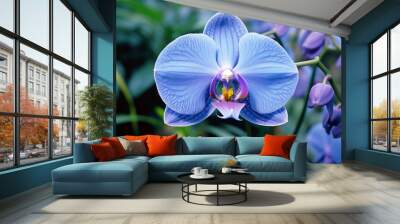 Close up of a blue orchid with a garden in the background Wall mural