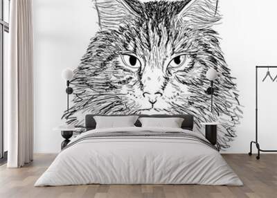 Hand drawn portrait of maine coon cat in sketch style. Vector illustration isolated on white Wall mural