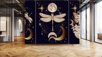 Set of 3 vector mystical illustrations with butterflies, dragonflies, moon, stars, rose flowers on a geometric magical background Wall mural