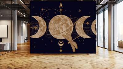 Vector illustration of mystical moon phases and dragonfly Wall mural