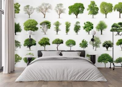 Collection of trees Isolated on white background, Exotic tropical tree for design. Wall mural