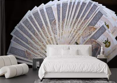 fan of Polish banknotes in hand on a dark background Wall mural