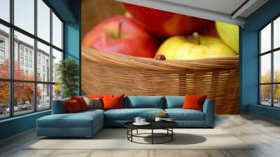 ladybug on a background of a basket with apples Wall mural