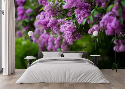 bunch of violet lilac flower (shallow dof) Wall mural