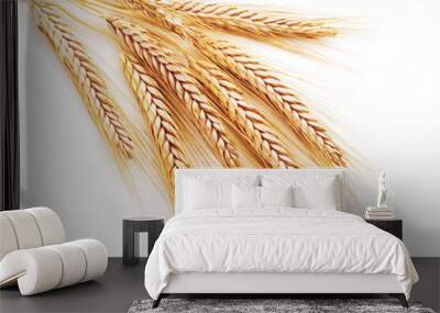 wheat ears on a white background Wall mural